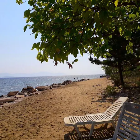 Ionio Apartament